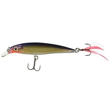 Rapala XRap Jerkbait, 4 716 Oz, Purple Gold, Suspending XR10PG
